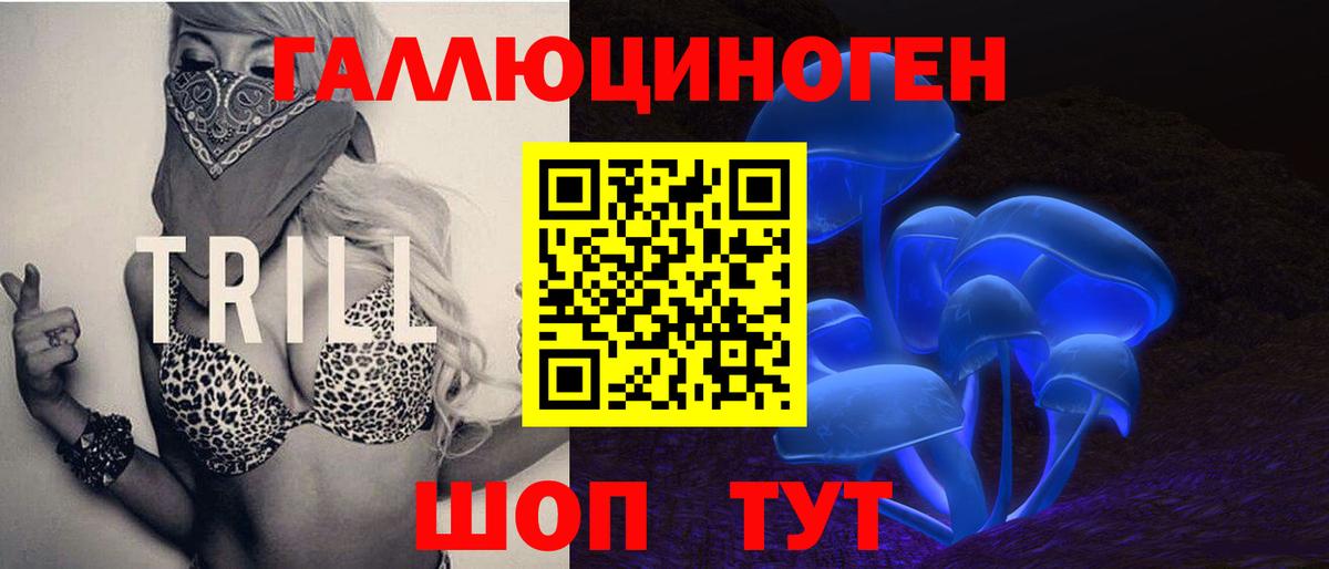 Галлюциногенные грибы Psilocybine cubensis Ногинск