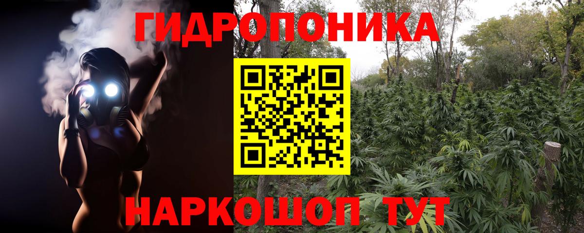 Конопля сатива  Шишки марихуана марихуана  Вход с VPN  Бошки марихуана марихуана  МАРИХУАНА LSD WEED  Ногинск 